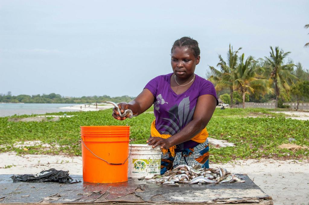 A woman places fish into a bucket.