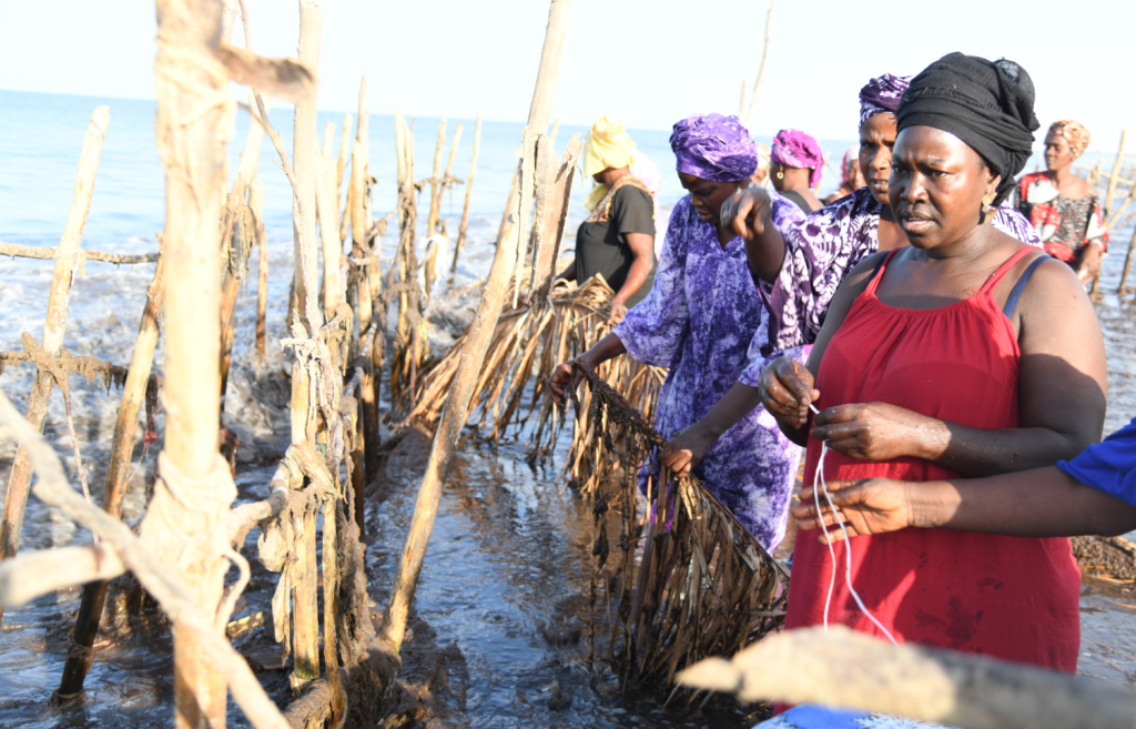 A group of women fishing.