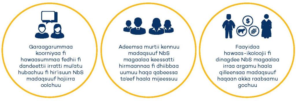 SUNCASA | Oromo - GESI