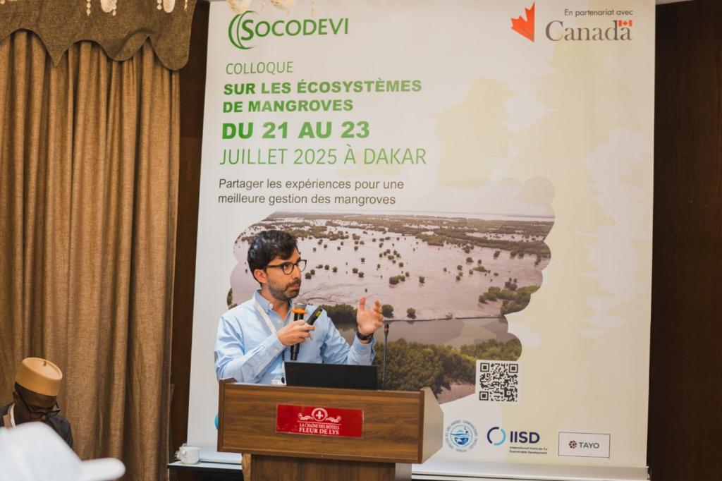 Edoardo Carlucci, Policy Advisor, IISD