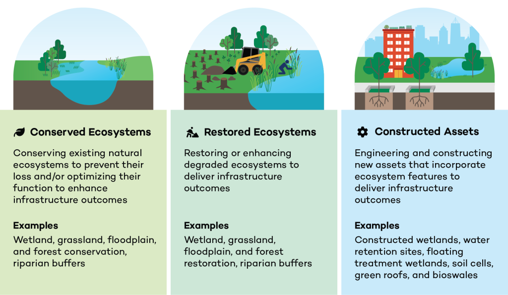 A figure explaining conserved ecosystems, restored ecosystems and constructed assets