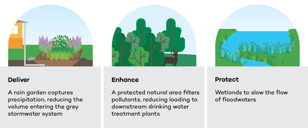 An image explaining that natural infrastructure can deliver, enhance, and protect water