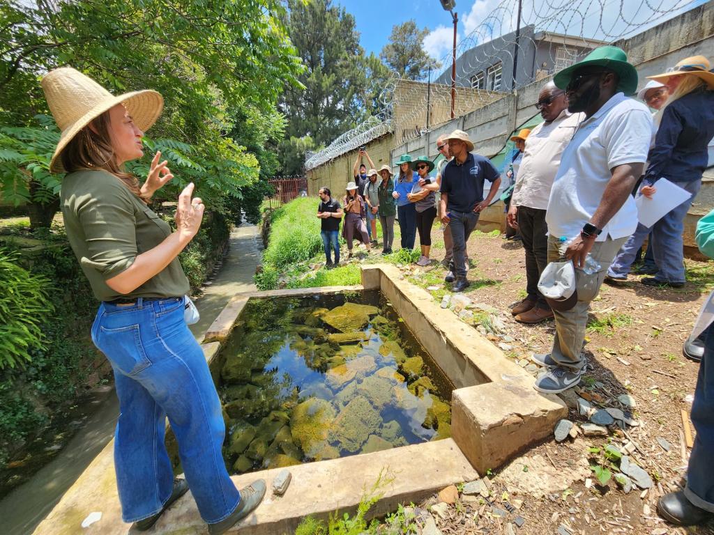 SUNCASA | SUNCASA Water team and Johannesburg partners during a biophysical monitoring training.