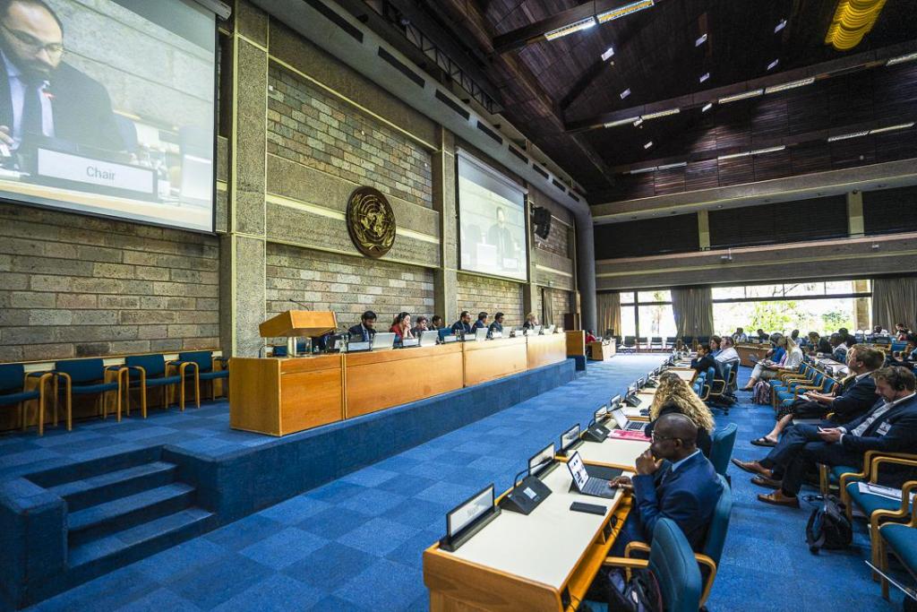 Delegates discuss at the UN Convention on Tax Third Round of Negotiations
