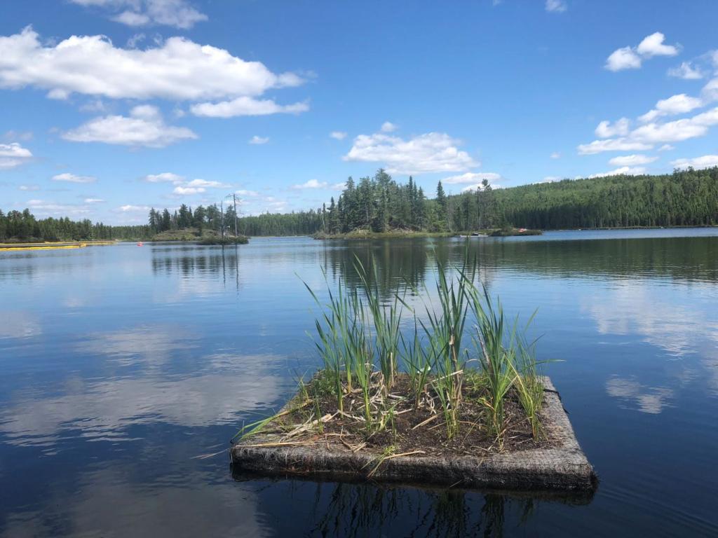floating treatment wetlands