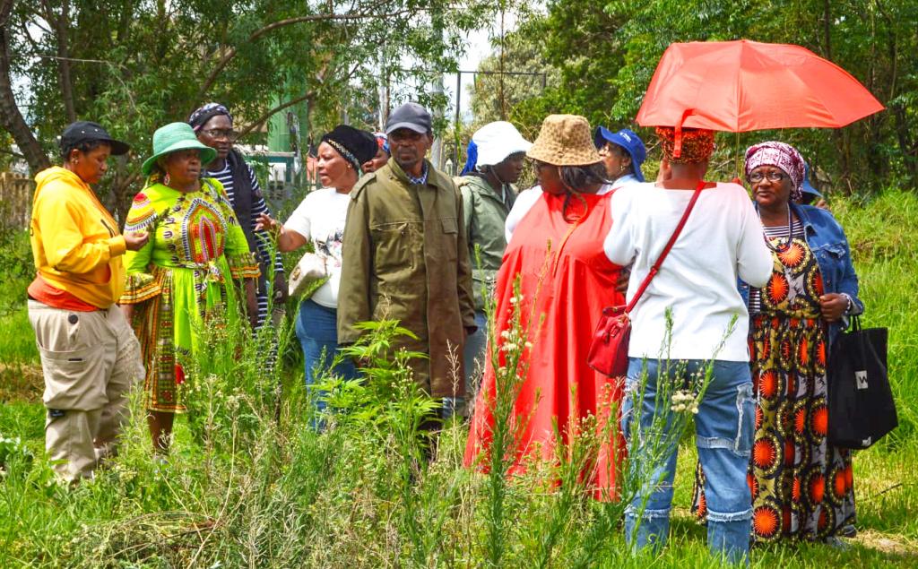 SUNCASA | Participants of a GESI peer learning in Johannesburg, South Africa. (Photo: Gender CC)