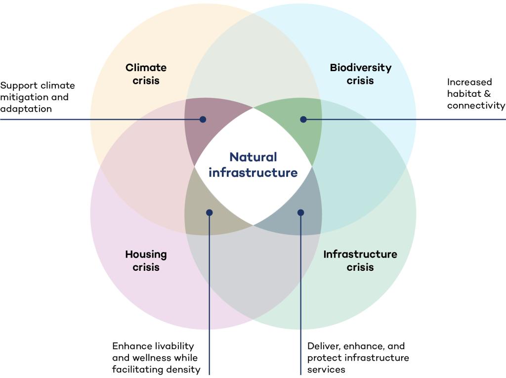 “Multi-solving” overlapping crises - climate, housing, biodiversity, and infrastructure - with natural infrastructure