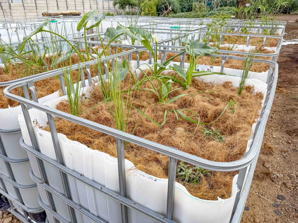SUNCASA | Ecofilter System at Victoria Yards, Johannesburg