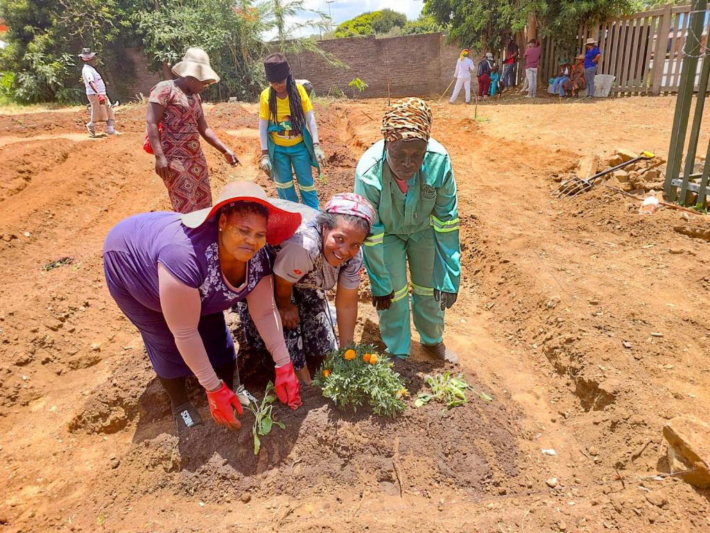 SUNCASA | Women-led community garden at Victoria Yards, Johannesburg.