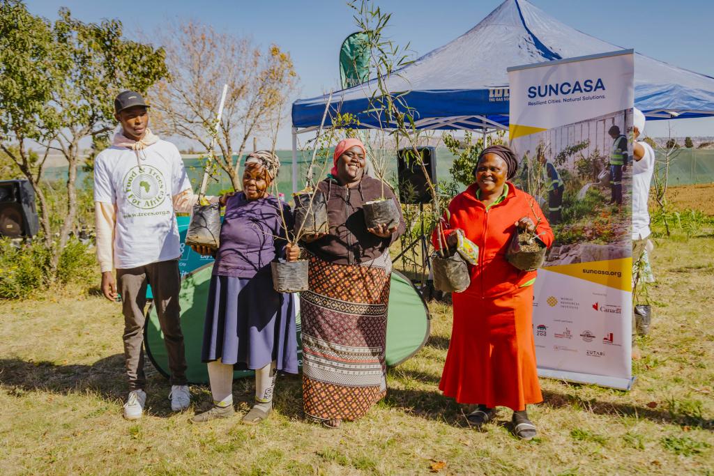 SUNCASA | Trees distribution in Johannesburg.