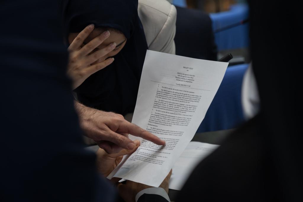 Woman holding her head as she reads a revised draft text at Bonn.