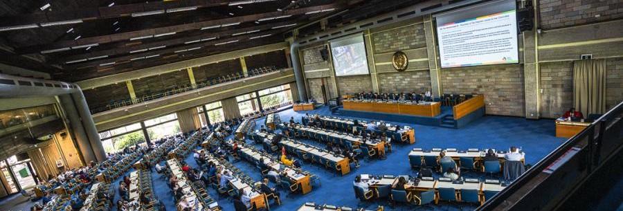 The UN Tax Convention plenary session in Nairobi, Kenya, 2025
