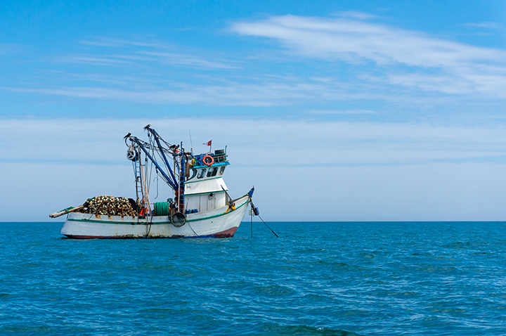 Fishery subsidy Latin America
