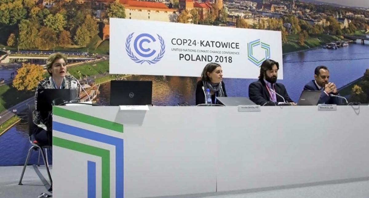Katowice fossil fuel subsidy meeting