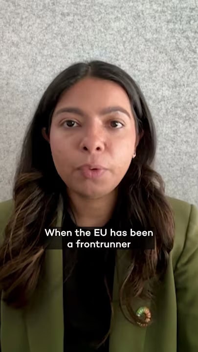 Rupal Verma speaks on the EU's due diligence regulations.
