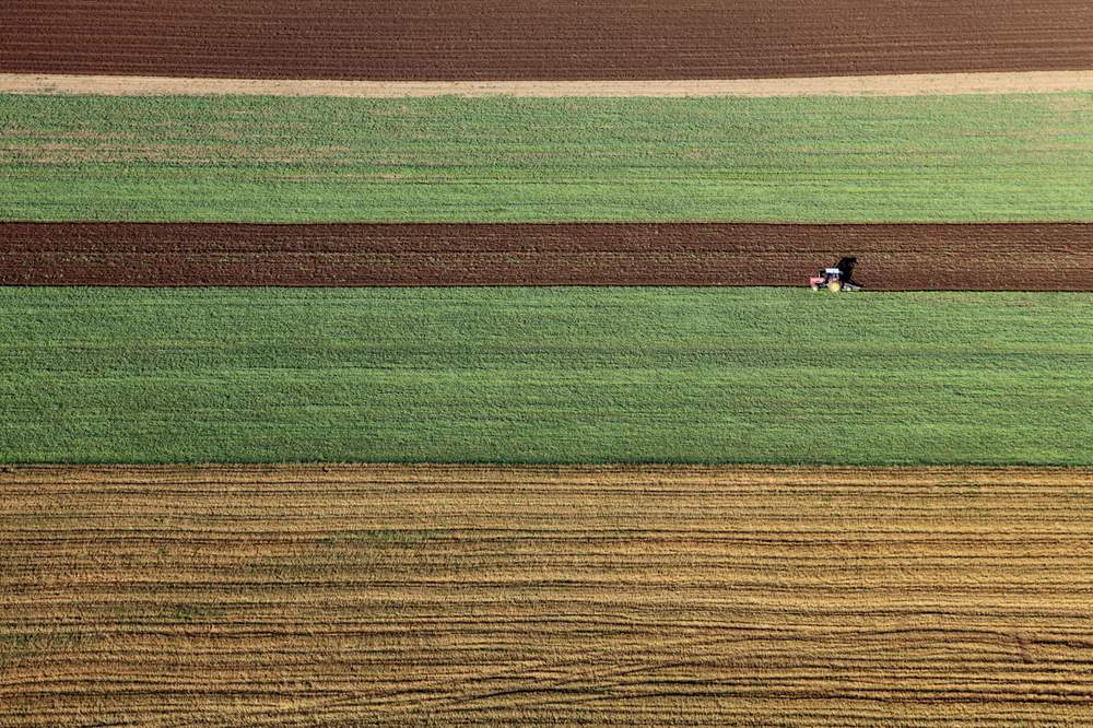 IISD is estimating the cost of ending hunger globally, and where the money should be invested. 