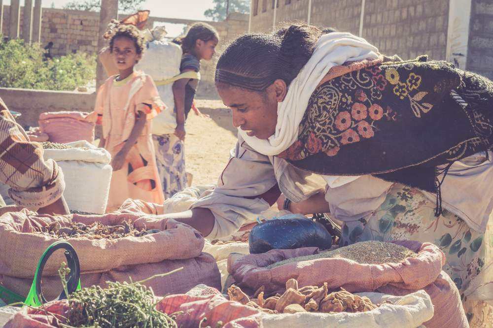 An extra US$400 million a year from donors would end hunger in seven African countries, home to 52 million hungry people. 