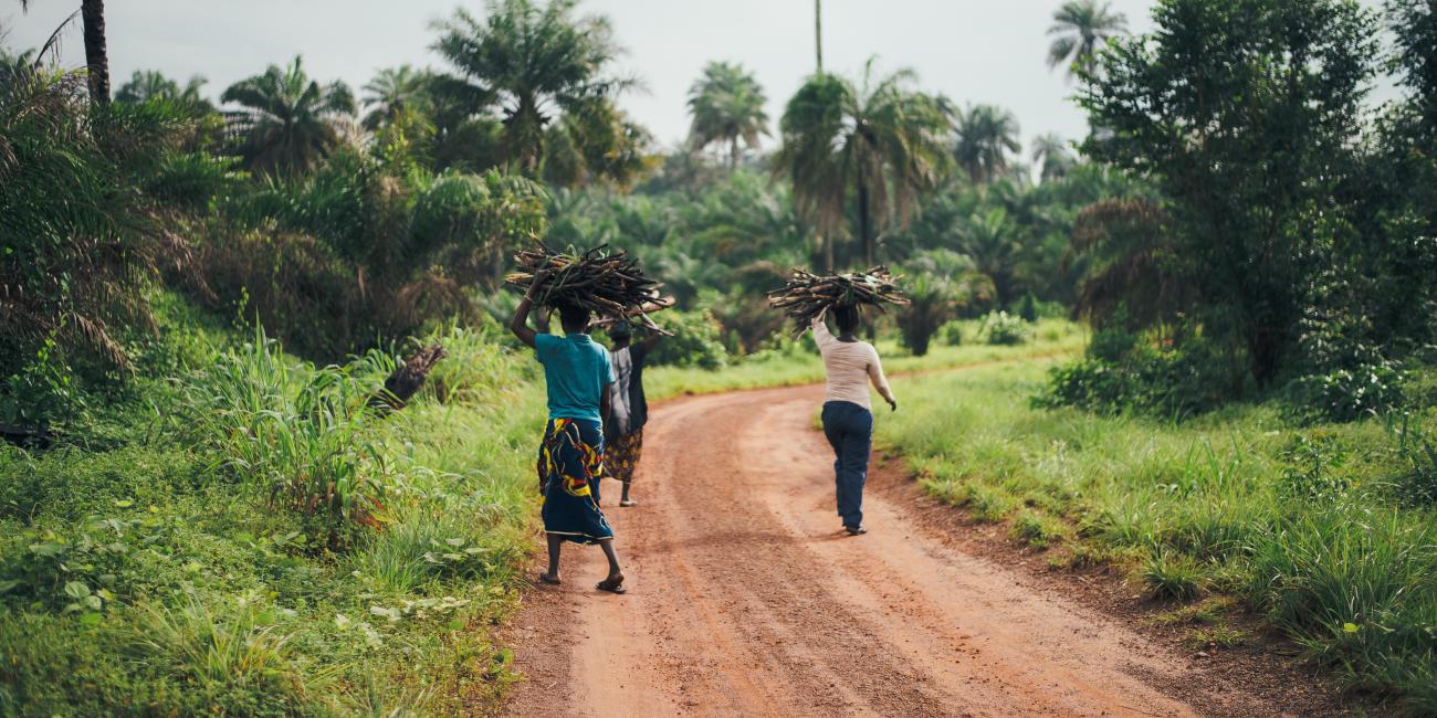 Two African women carrying bundles of sticks walking down a dirt path.