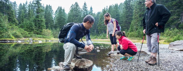 A family of hikers stops to explore a lake in a mountain wilderness park.
