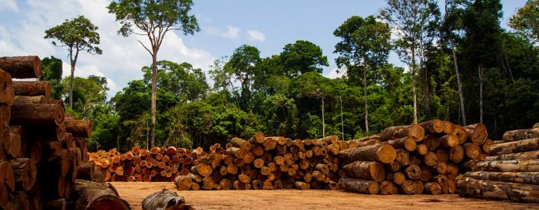 Brazilian Amazon lumber