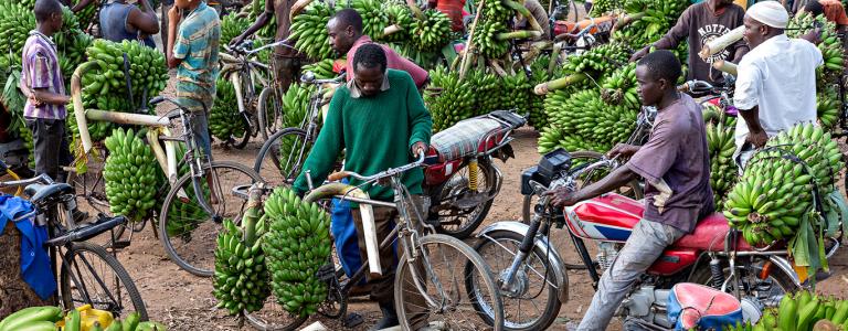 A banana market in Benin, West Africa 