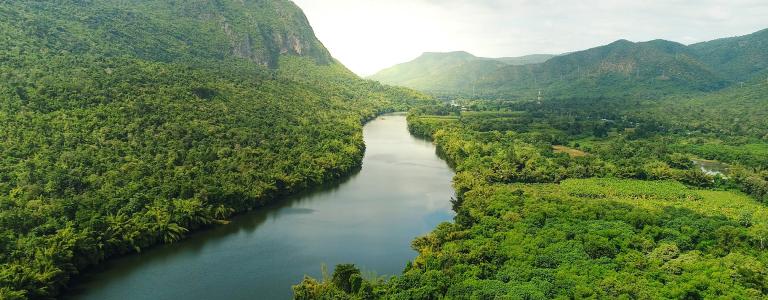 River in rainforest in Southeast Asia