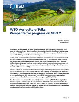 WTO Agriculture Talks: Prospects for progress on SDG 2 cover