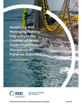 Managing Fishing Capacity in the Context of World Trade Organization Disciplines on Fisheries Subsidies cover