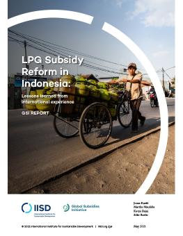 LPG Subsidy Reform in Indonesia: Lessons learned from international experience 
