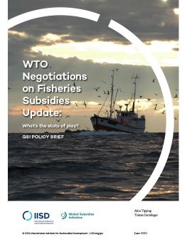 WTO Negotiations on Fisheries Subsidies Update: What's the state of play? cover
