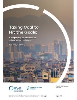 Taxing Coal to Hit the Goals:  A simple way for Indonesia to reduce carbon emissions cover showing hazy Jakarta skyline