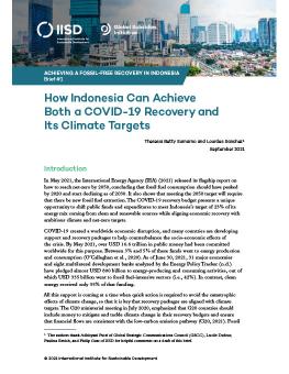 How Indonesia Can Achieve Both a COVID-19 Recovery and Its Climate Targets cover