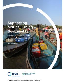 Supporting Marine Fishing Sustainably: A review of central and state government support for marine fisheries in India cover