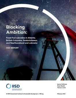 Blocking Ambition: Fossil fuel subsidies in Alberta, British Columbia, Saskatchewan, and Newfoundland and Labrador cover 