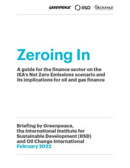 Zeroing In: A guide for the finance sector on the International Energy Agency’s Net Zero Emissions scenario and its implications for oil and gas finance cover