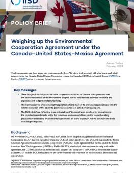 environmental-cooperation-agreement-policy-brief-1.jpg