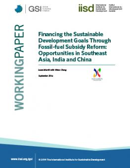 financing-sdgs-fossil-fuel-subsidy-reform-southeast-asian-india-china.jpg