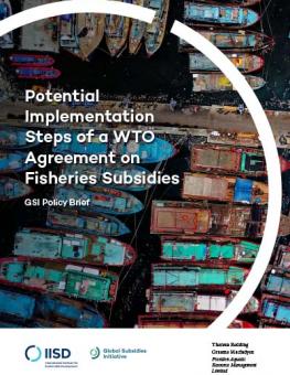 steps-wto-agreement-fisheries-subsidies-1.jpg