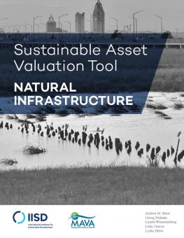 sustainable-asset-valuation-tool-natural-infrastructure-1.jpg