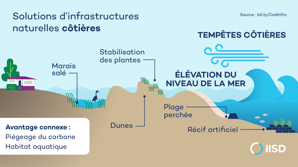 Solutions d'infrastructure naturelle côtières